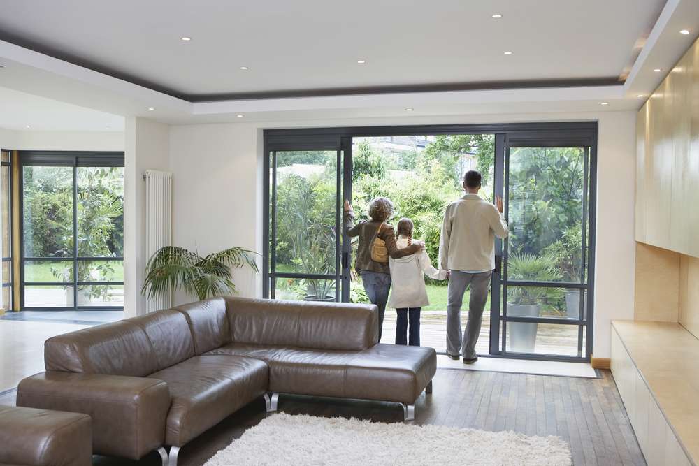 Professional window services